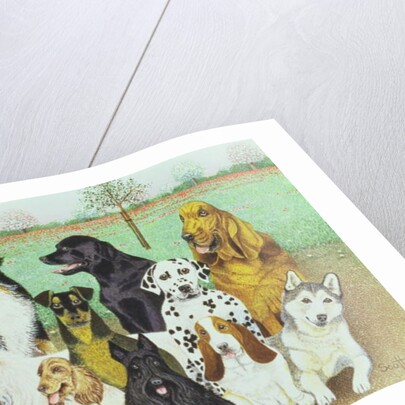 Dog Watch by Pat Scott