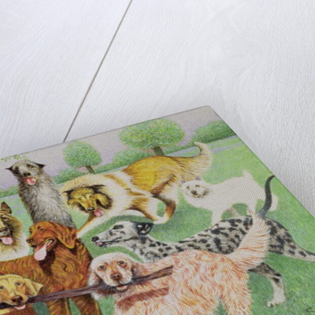 Catch and Carry by Pat Scott