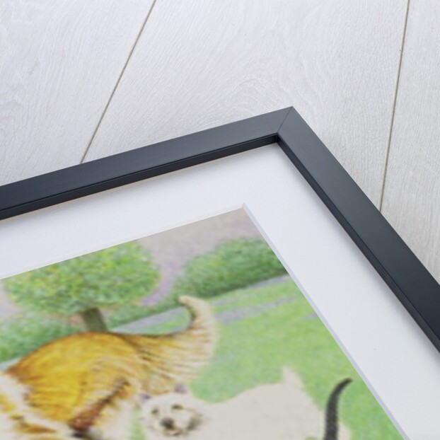 Catch and Carry by Pat Scott