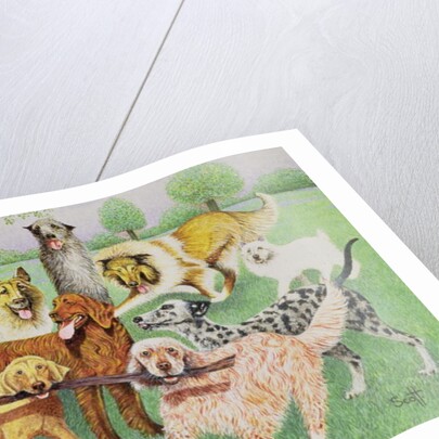 Catch and Carry by Pat Scott