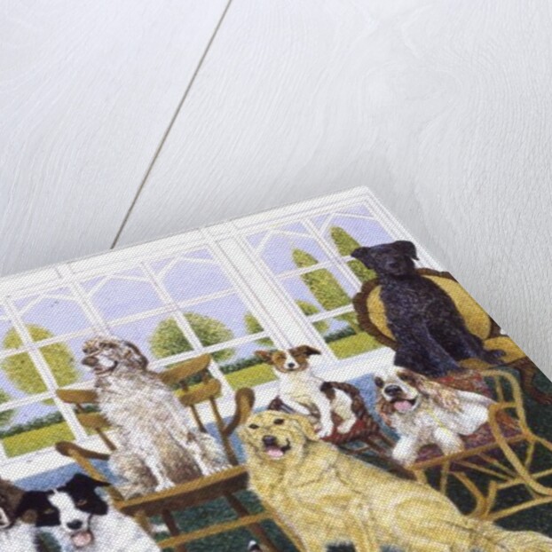 In the Dog House by Pat Scott