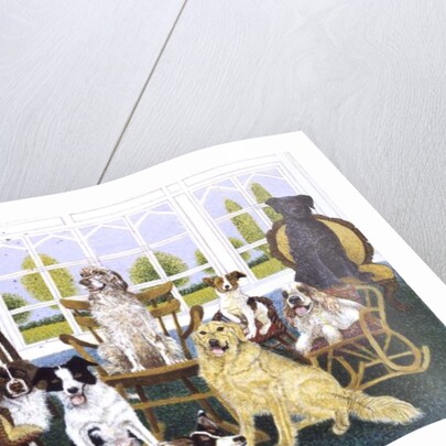 In the Dog House by Pat Scott