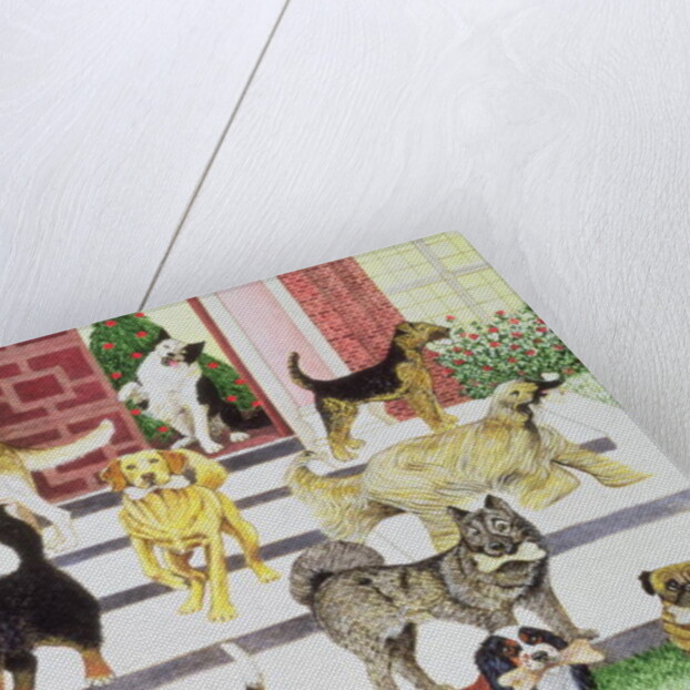 Party Presents by Pat Scott