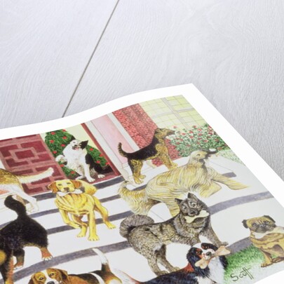 Party Presents by Pat Scott