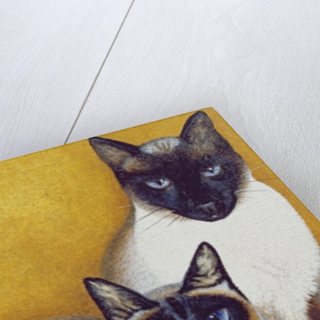 Mavis and Barnaby by Pat Scott