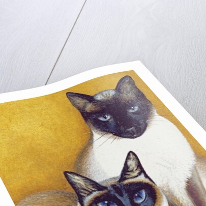 Mavis and Barnaby by Pat Scott