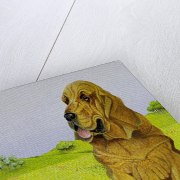 In Charge by Pat Scott