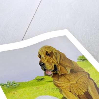 In Charge by Pat Scott