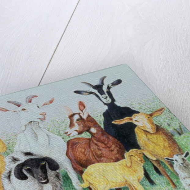 In Clover by Pat Scott