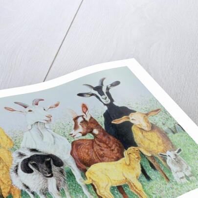 In Clover by Pat Scott