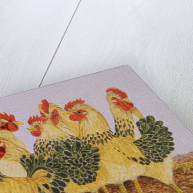 Strutters Ballet by Pat Scott