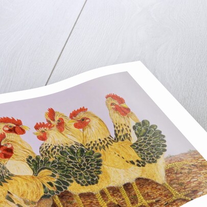 Strutters Ballet by Pat Scott