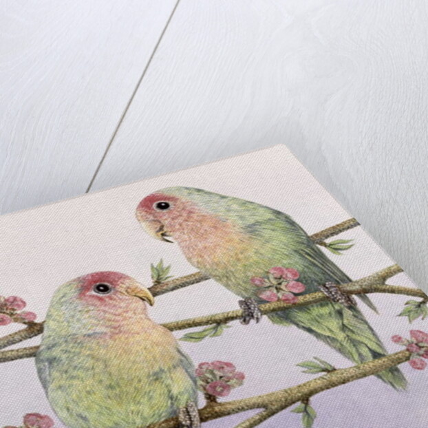 Love Birds by Pat Scott
