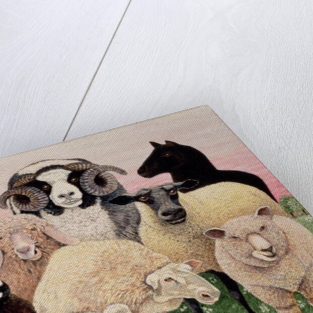 Shepherds Delight by Pat Scott