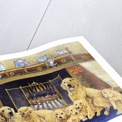 Home and Hearth by Pat Scott