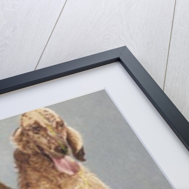 Dogs' Dinner by Pat Scott