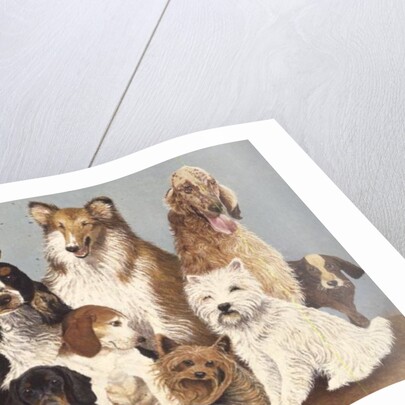 Dogs' Dinner by Pat Scott