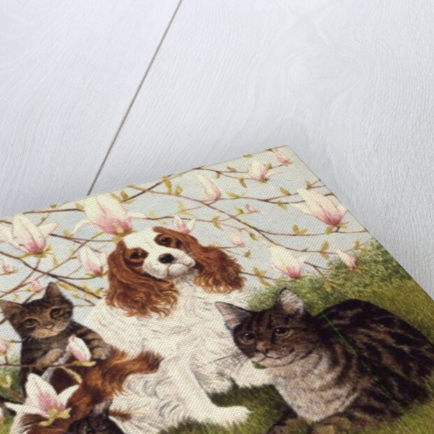 Constance's Tree by Pat Scott