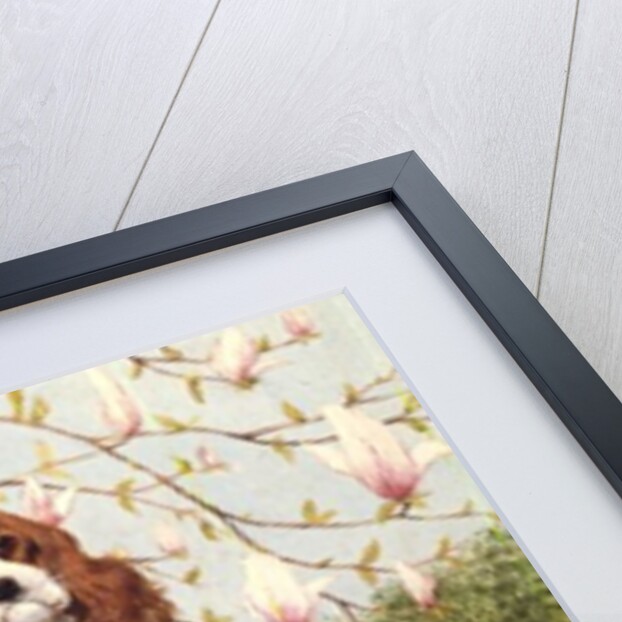 Constance's Tree by Pat Scott