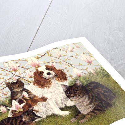 Constance's Tree by Pat Scott