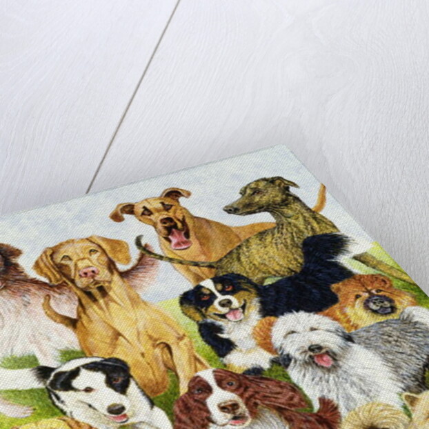 Dog Days by Pat Scott