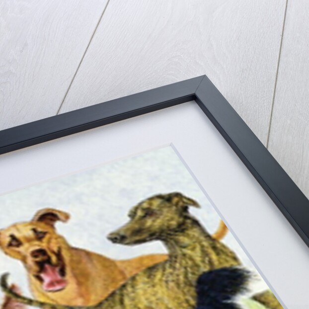 Dog Days by Pat Scott