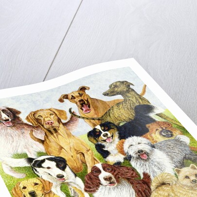 Dog Days by Pat Scott