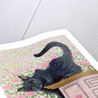 Coming Up Roses by Pat Scott