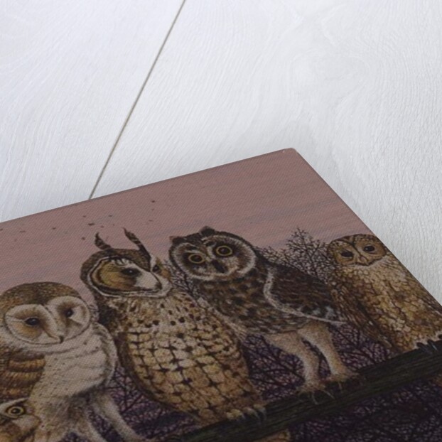 Tu-whit Tu-whooing by Pat Scott