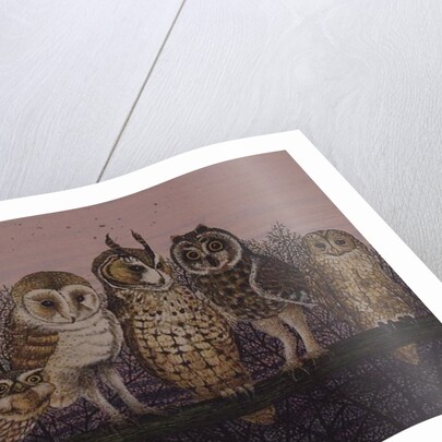 Tu-whit Tu-whooing by Pat Scott