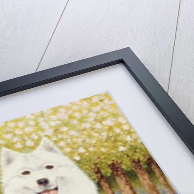 Dogs in May by Pat Scott