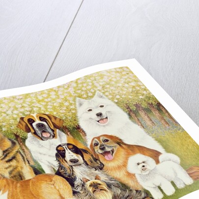 Dogs in May by Pat Scott