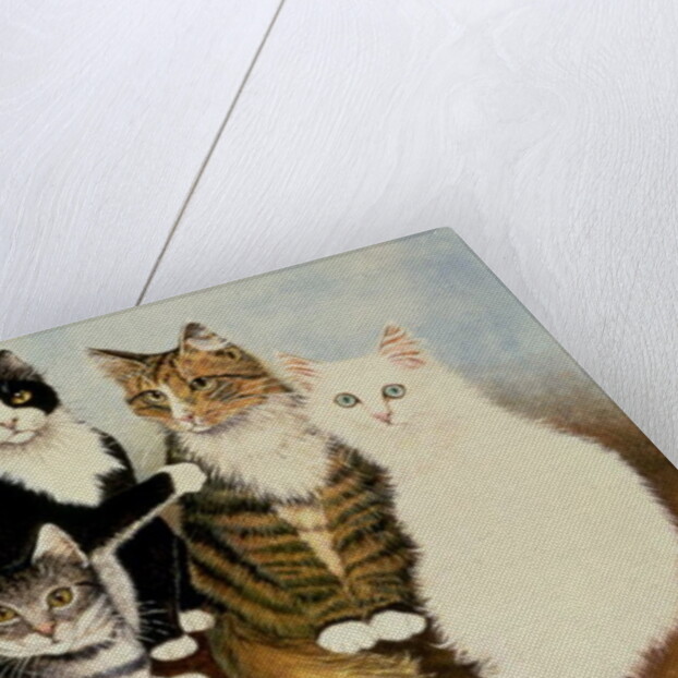 Cat's Cradle by Pat Scott