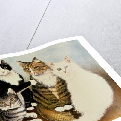 Cat's Cradle by Pat Scott