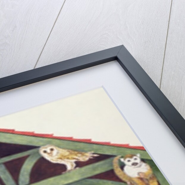 Sheltered by Pat Scott