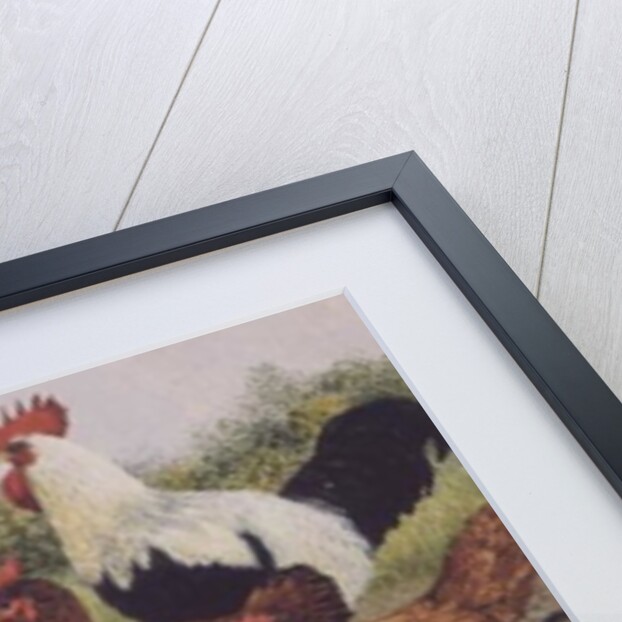 Something to Crow About by Pat Scott