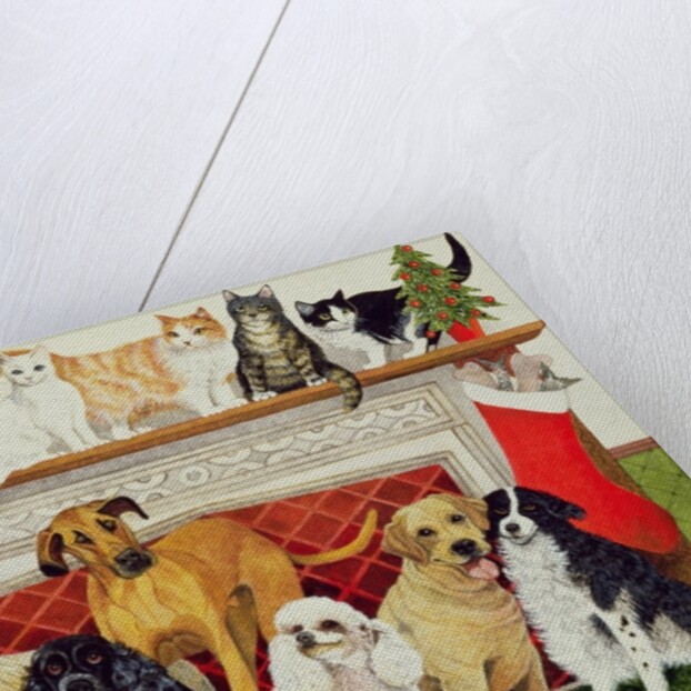 Great Expectations by Pat Scott