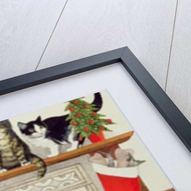 Great Expectations by Pat Scott