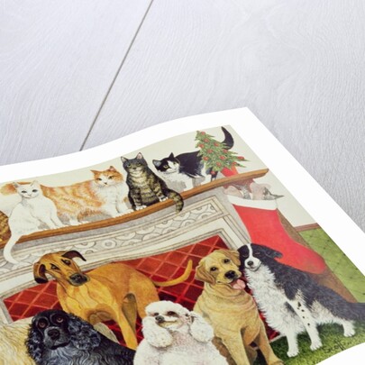 Great Expectations by Pat Scott