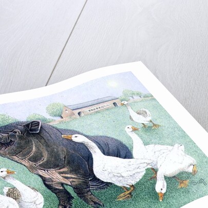 Tasty Morsel by Pat Scott