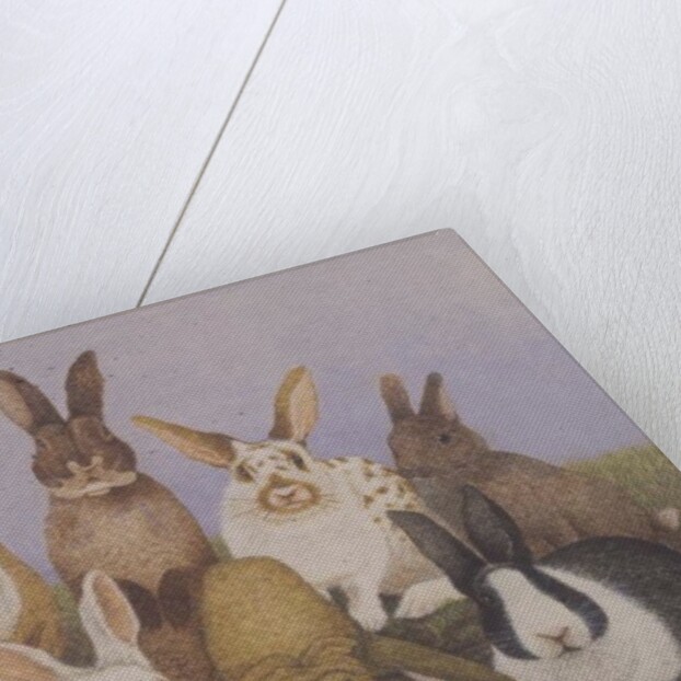 Lucky rabbits by Pat Scott