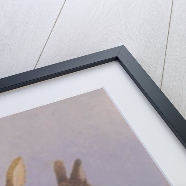 Lucky rabbits by Pat Scott