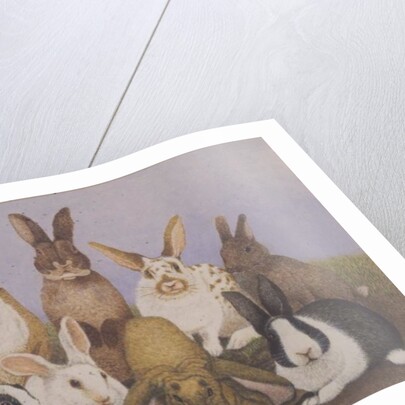 Lucky rabbits by Pat Scott