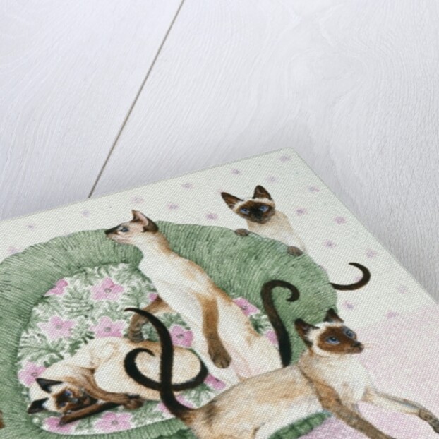 We are Siamese if you please by Pat Scott