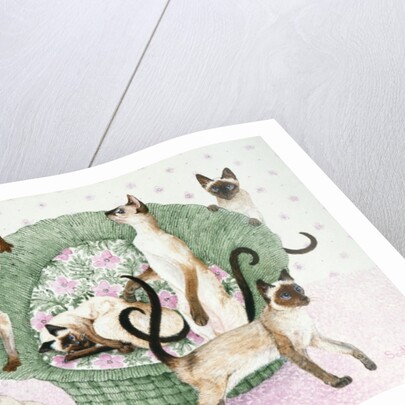 We are Siamese if you please by Pat Scott