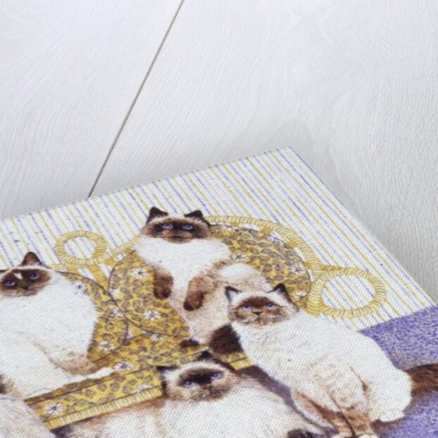 Chocolate creams by Pat Scott