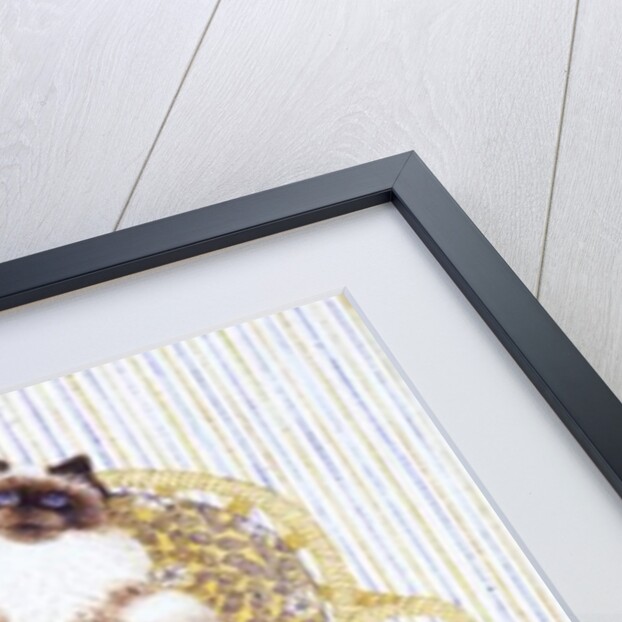 Chocolate creams by Pat Scott