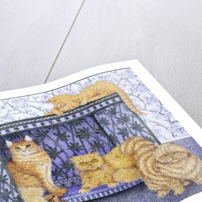 Ginger gentlemen by Pat Scott