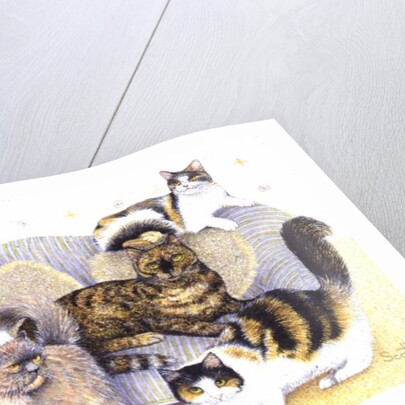 Tortoiseshell ladies by Pat Scott