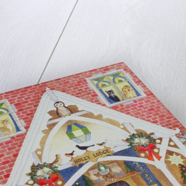 Black and white whiskers by Pat Scott